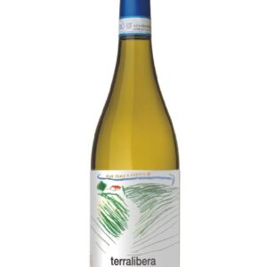 Botella de Insieme Verdicchio dei Castelli di Jesi de Terralibera, vino blanco fresco y floral de Le Marche